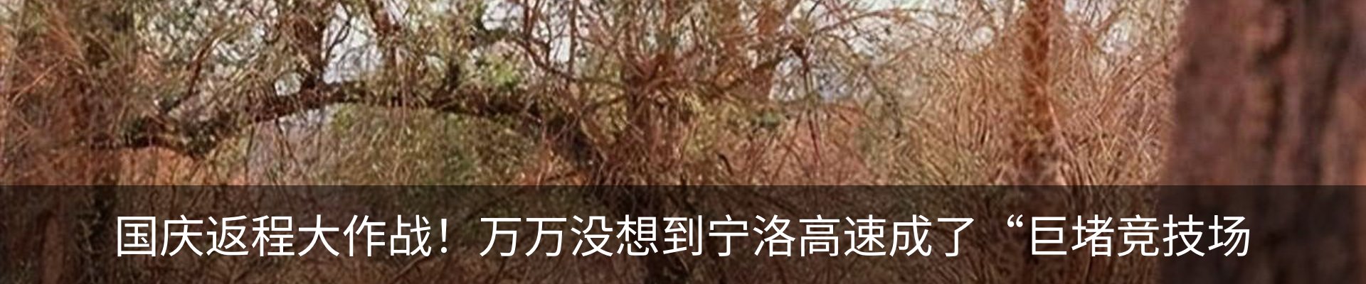 资讯中心